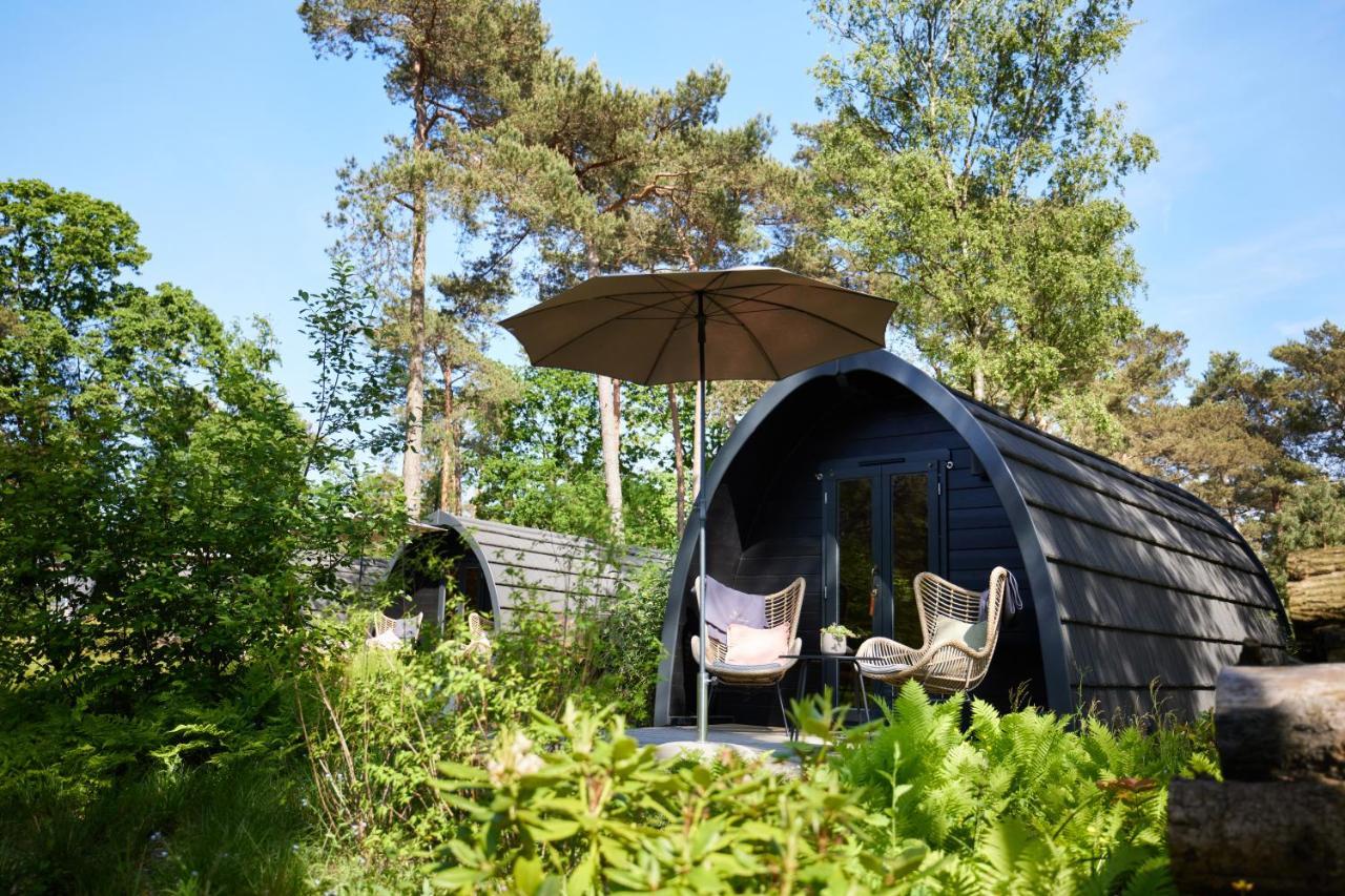 Kampinastaete, Hippe Midden In Natuurgebied De Kampina Chalet Oisterwijk