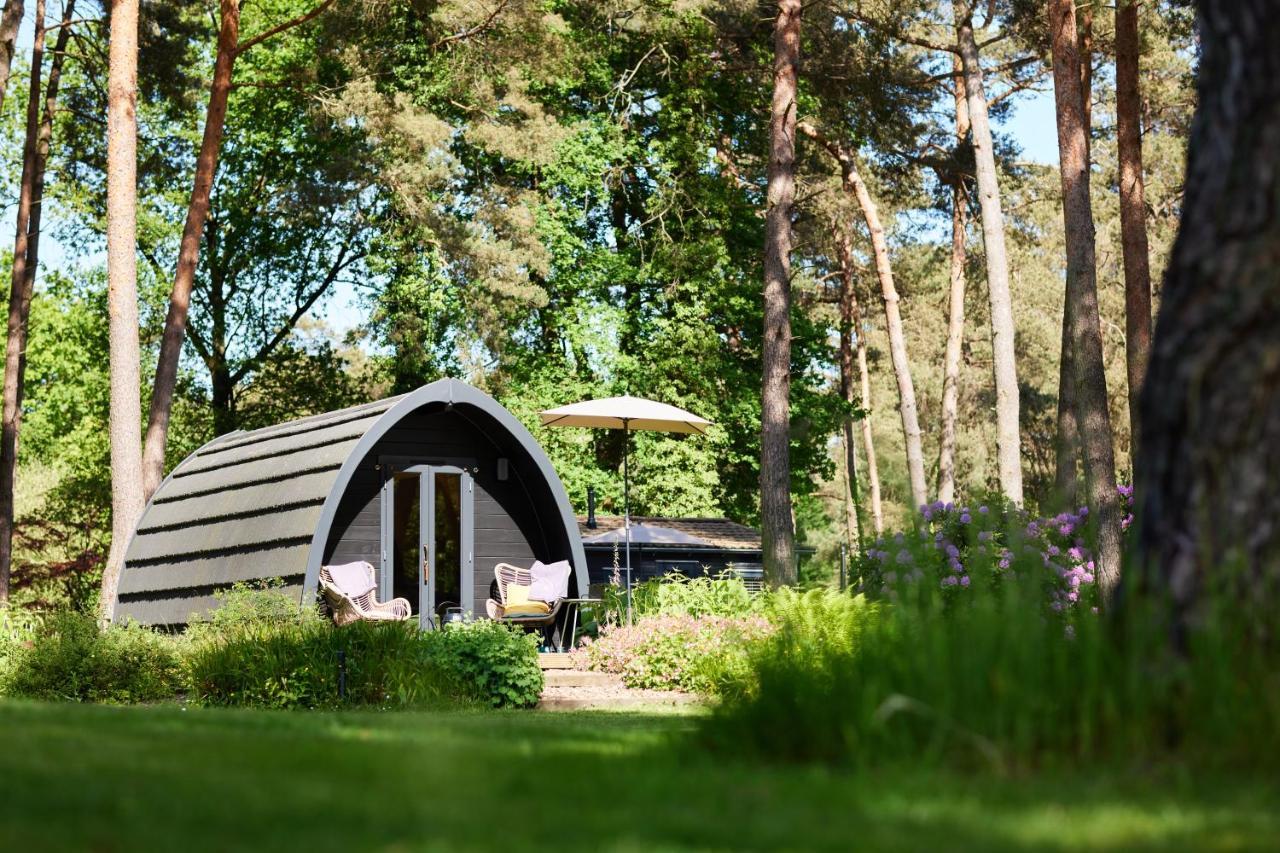 Chalet Kampinastaete, Hippe Midden In Natuurgebied De Kampina
