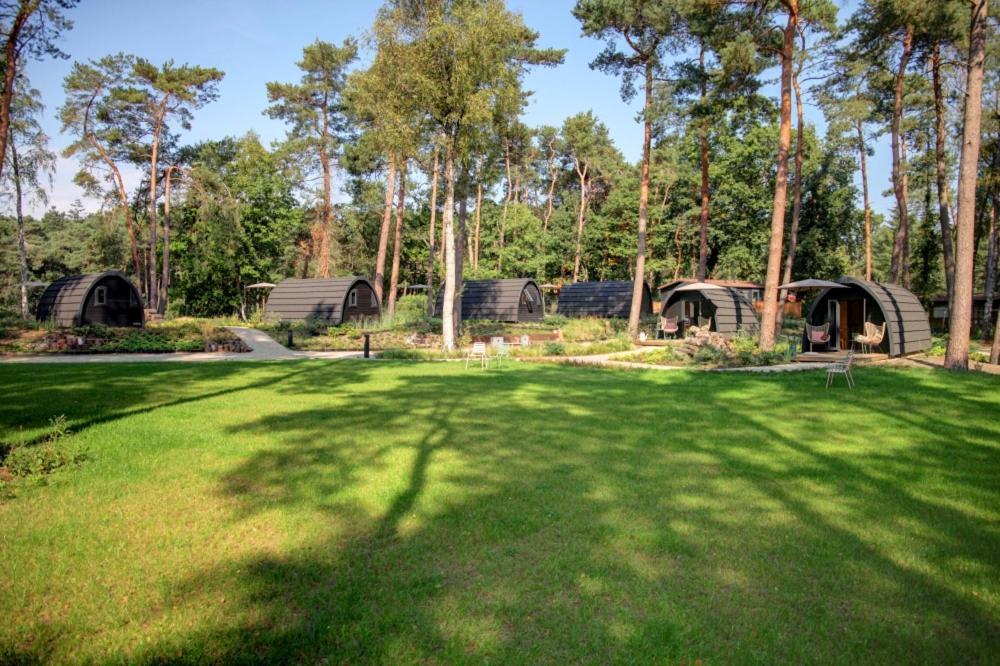 Kampinastaete, Hippe Midden In Natuurgebied De Kampina Chalet
